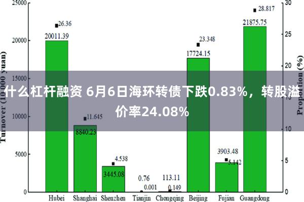 什么杠杆融资 6月6日海环转债下跌0.83%，转股溢价率24.08%