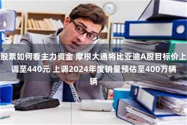 股票如何看主力资金 摩根大通将比亚迪A股目标价上调至440元 上调2024年度销量预估至400万辆