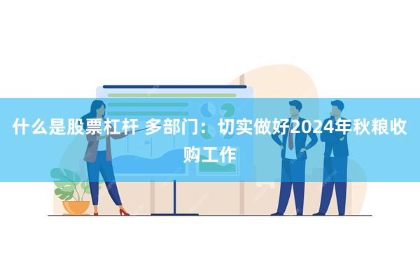 什么是股票杠杆 多部门：切实做好2024年秋粮收购工作