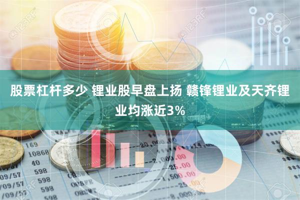 股票杠杆多少 锂业股早盘上扬 赣锋锂业及天齐锂业均涨近3%