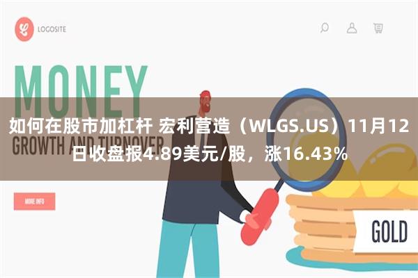 如何在股市加杠杆 宏利营造（WLGS.US）11月12日收盘报4.89美元/股，涨16.43%