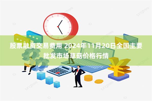 股票融资交易费用 2024年11月20日全国主要批发市场草菇价格行情