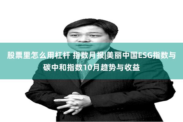 股票里怎么用杠杆 指数月报|美丽中国ESG指数与碳中和指数10月趋势与收益