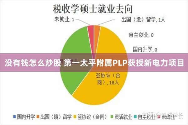 没有钱怎么炒股 第一太平附属PLP获授新电力项目