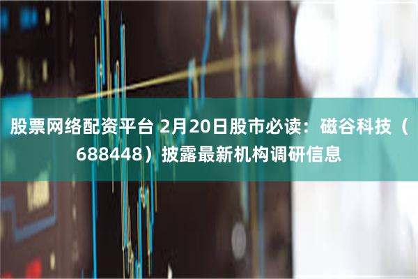 股票网络配资平台 2月20日股市必读：磁谷科技（688448）披露最新机构调研信息