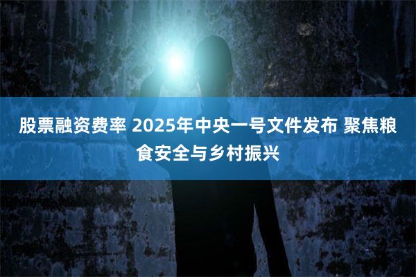 股票融资费率 2025年中央一号文件发布 聚焦粮食安全与乡村振兴