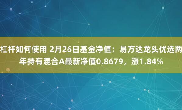 杠杆如何使用 2月26日基金净值：易方达龙头优选两年持有混合A最新净值0.8679，涨1.84%