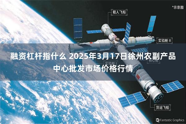 融资杠杆指什么 2025年3月17日徐州农副产品中心批发市场价格行情