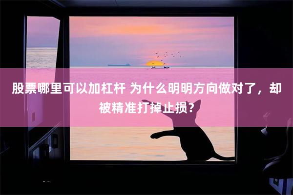 股票哪里可以加杠杆 为什么明明方向做对了，却被精准打掉止损？