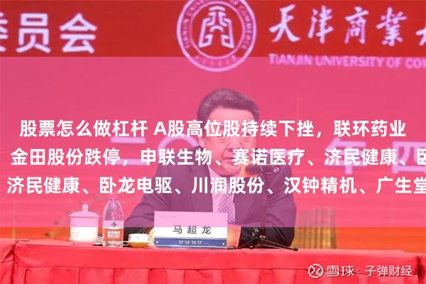 股票怎么做杠杆 A股高位股持续下挫，联环药业、中电鑫龙、飞龙股份、金田股份跌停，申联生物、赛诺医疗、济民健康、卧龙电驱、川润股份、汉钟精机、广生堂等均跌超8%